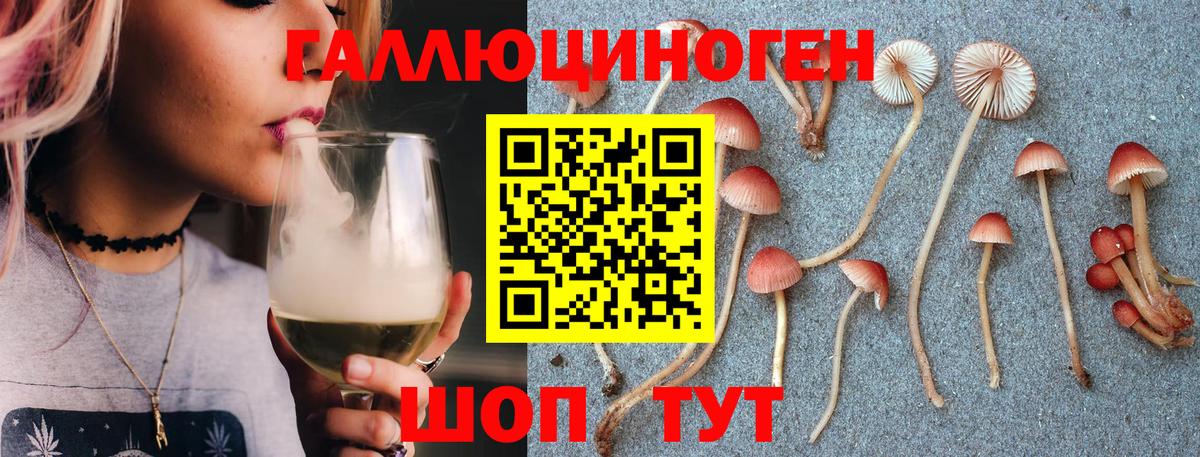 Галлюциногенные грибы Magic Shrooms Горно-Алтайск